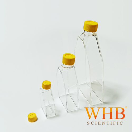 細(xì)胞培養(yǎng)瓶 Cell Culture Flasks